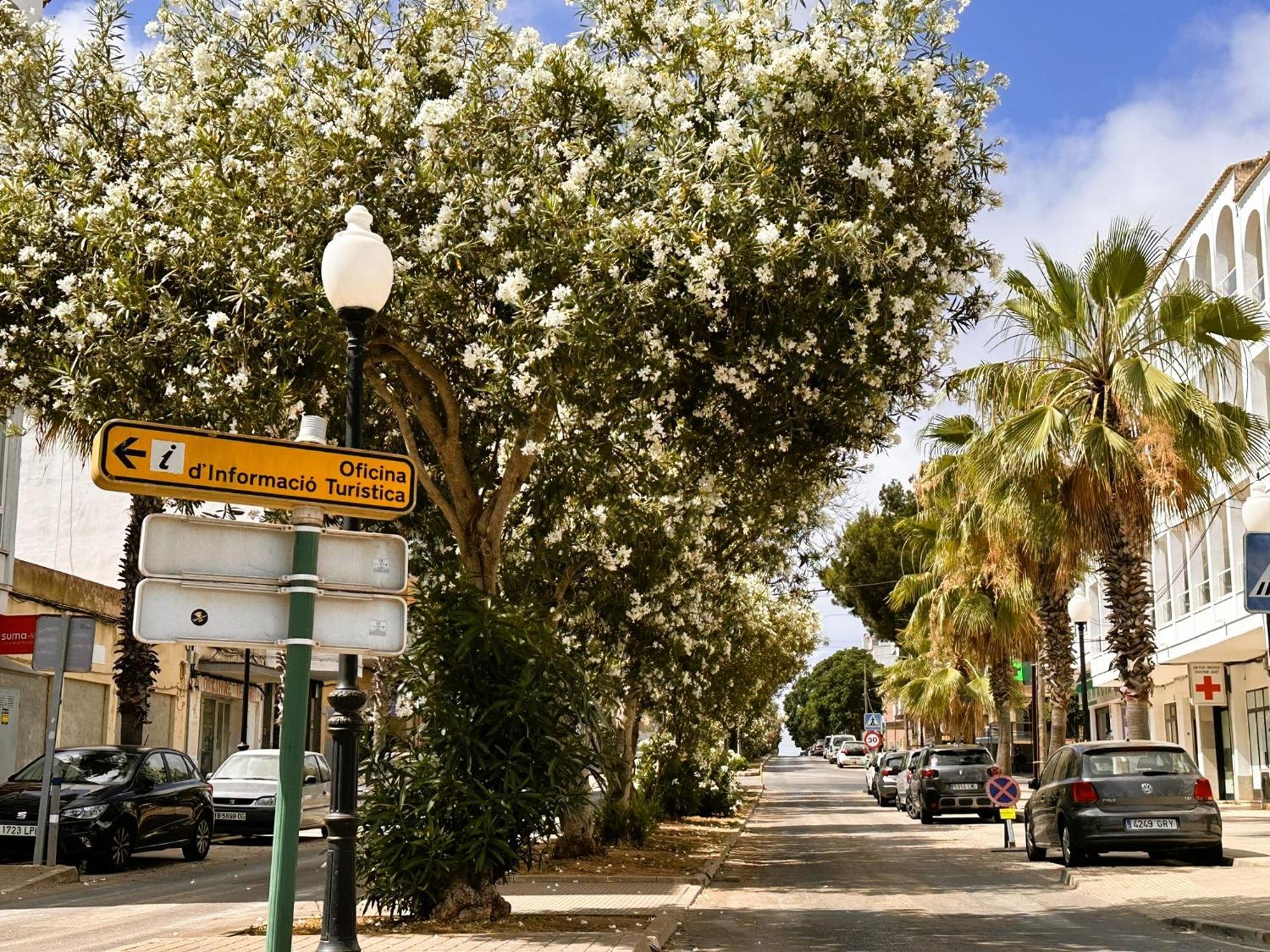 Casa vacanze Mallorcasita