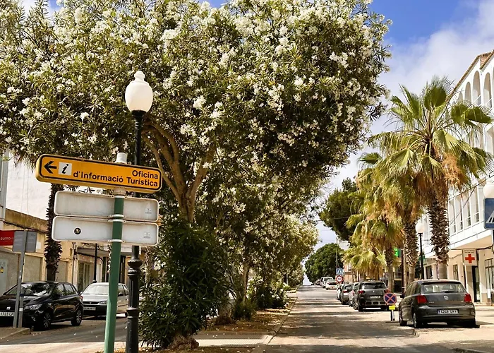Mallorcasita